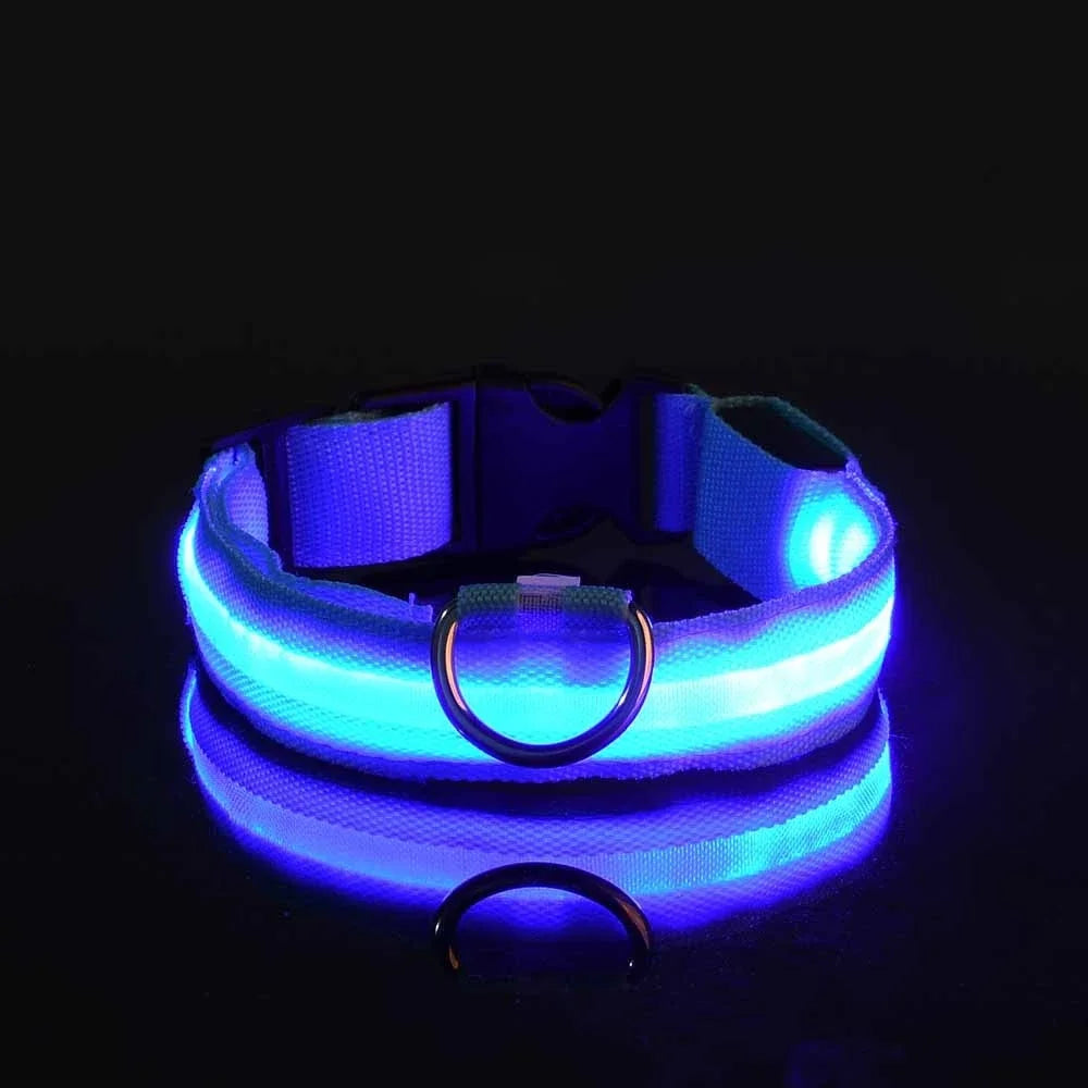 Dog Collar Nylon LED Night Safety Flashing Glow In The Dark Pet Dog Leash pet Dogs Luminous Fluorescent  dog accessories collar