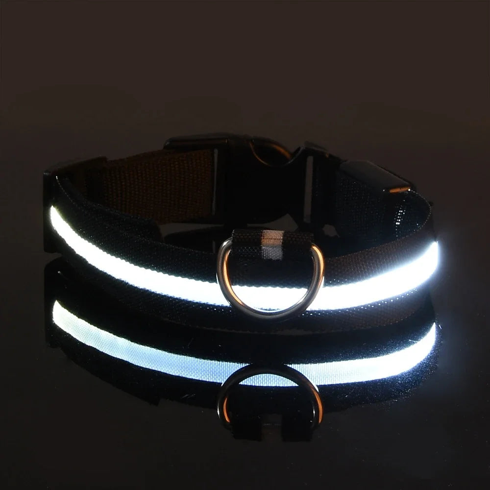 Dog Collar Nylon LED Night Safety Flashing Glow In The Dark Pet Dog Leash pet Dogs Luminous Fluorescent  dog accessories collar