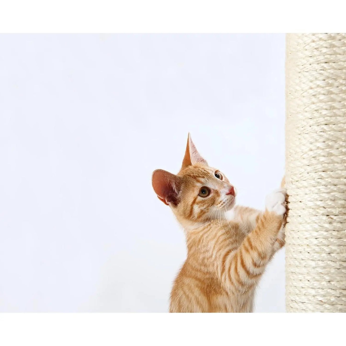 Natural Sisal scraper post for cats-various sizes available 10mm spare scratch screw for cats beige-natural Sisal with thread-good quality spare parts sisal posts